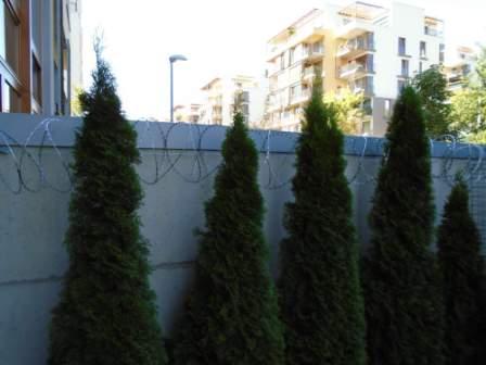 pletiva dobrý hrdlořezy 1